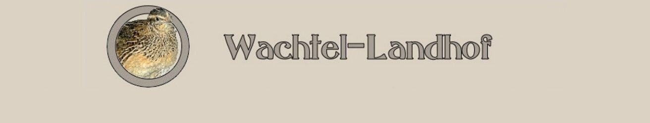 Wachtel Infoblog – alles zum Thema Legewachtel